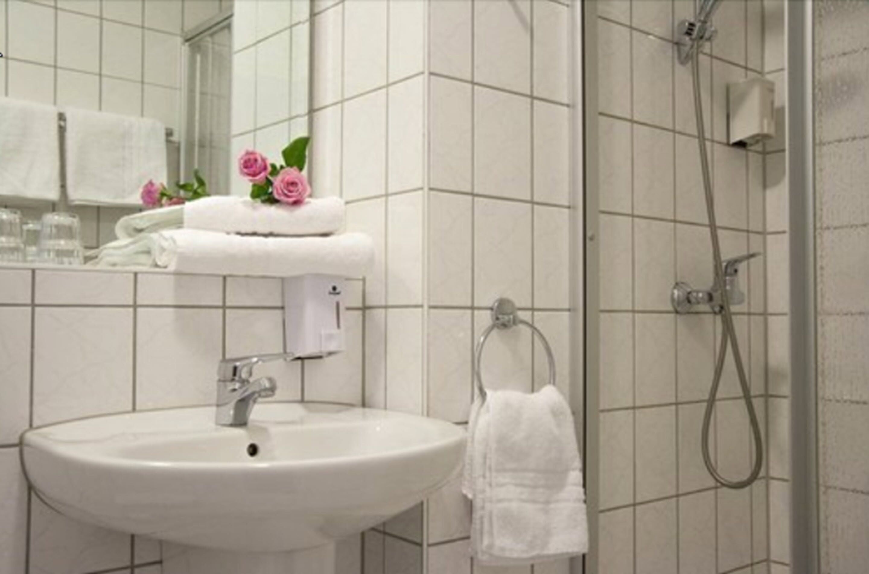 standard double room single use | bathroom | shower, hair dryer, towels