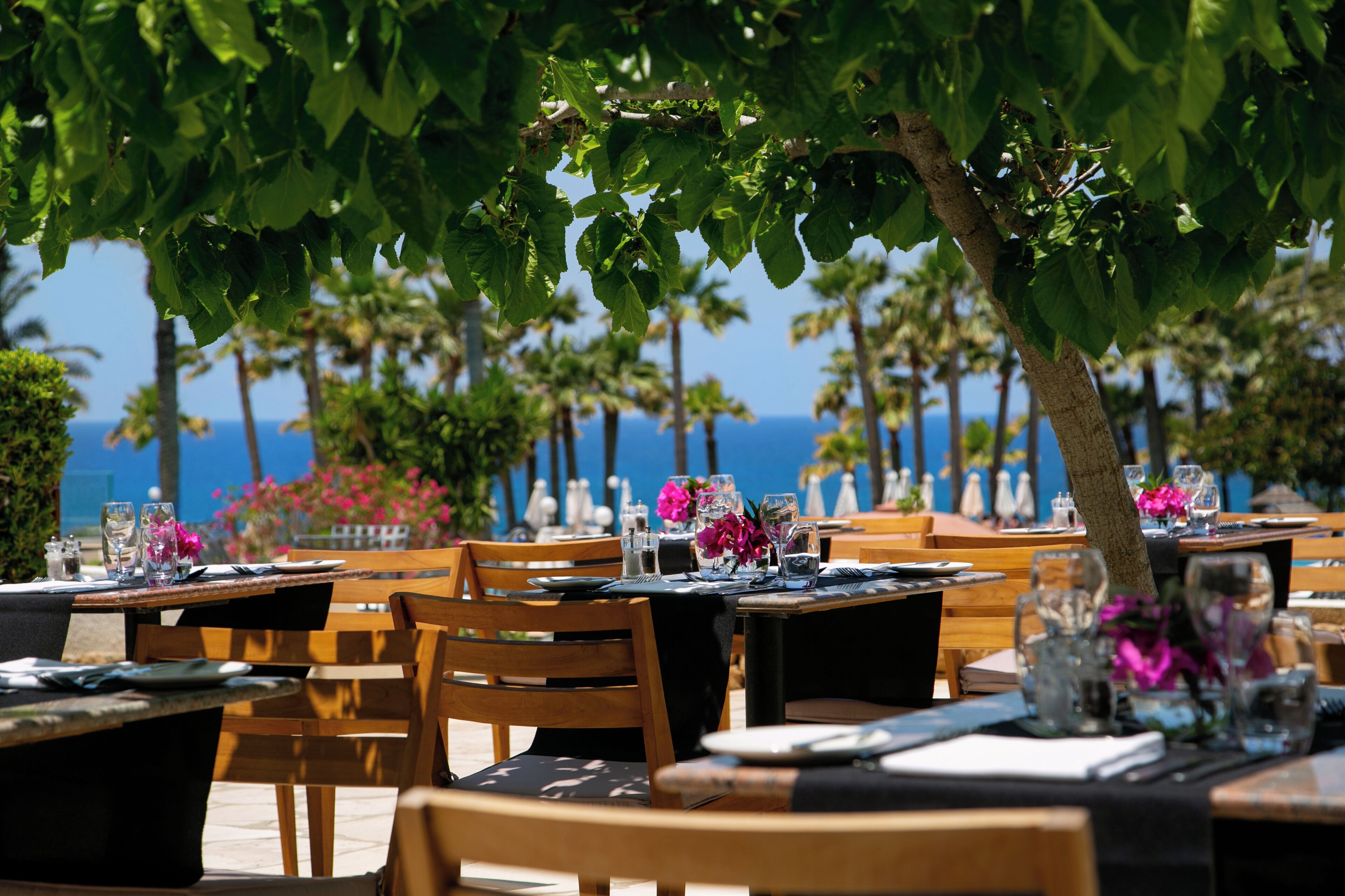 An outdoor dining area with tables set for two, surrounded by greenery and overlooking a body of water.