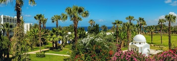 Outdoor wedding area
