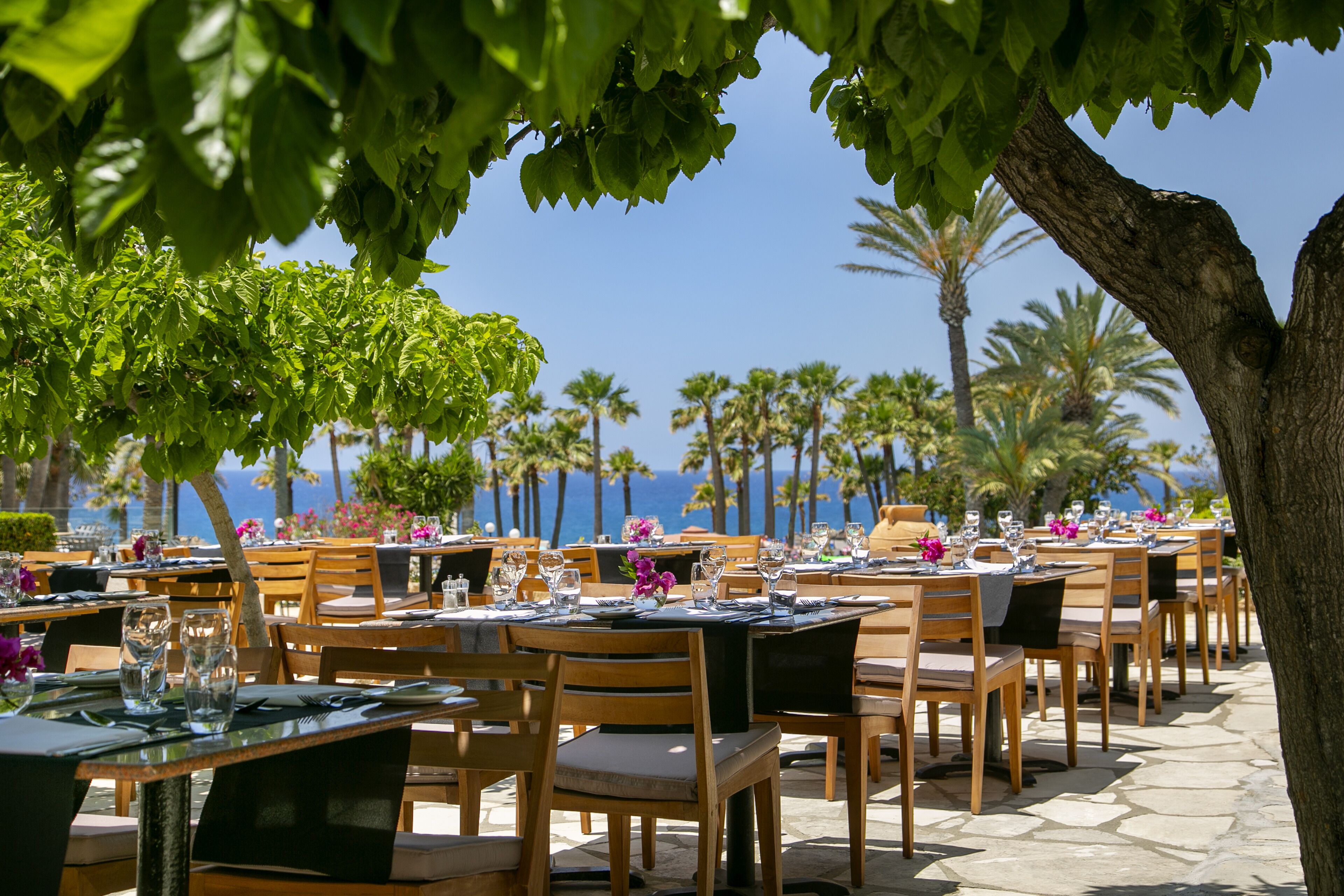 An outdoor restaurant with tables and chairs, palm trees, and a view of the ocean.