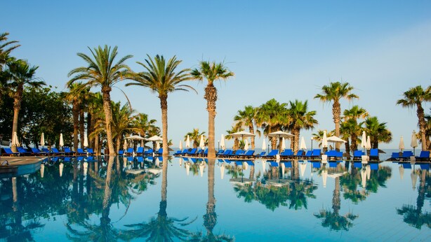 Una piscina con sillones reclinables azules y palmeras.