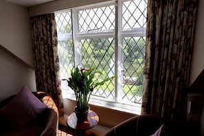 Superior Room | View from room
