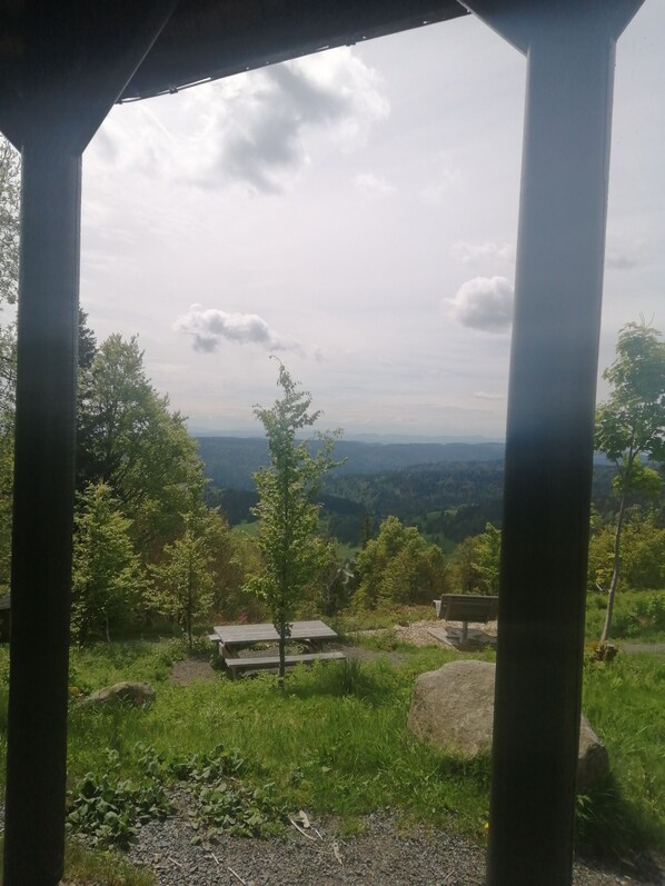 إطلالة على الشارع من المنشأة