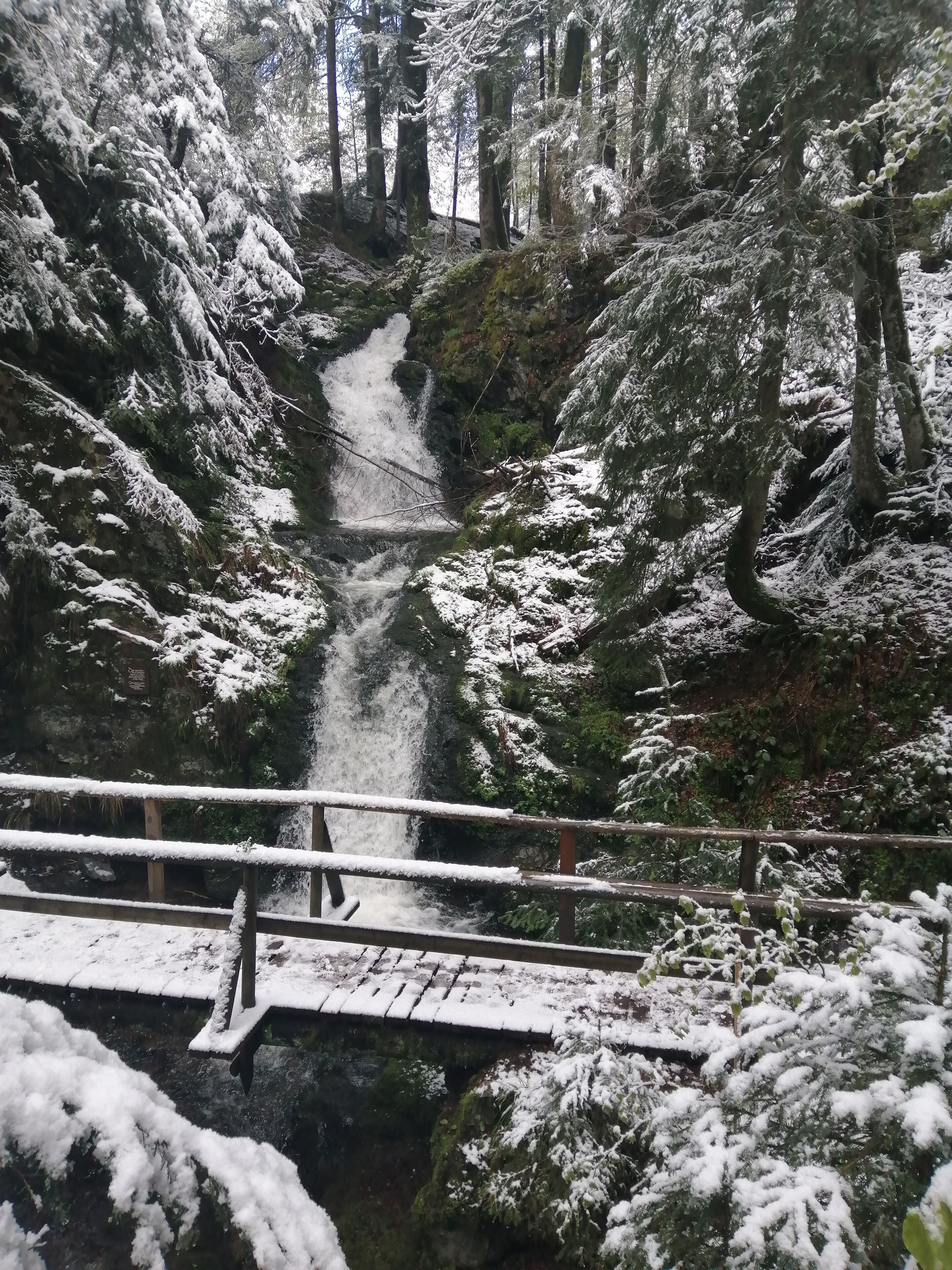 land view from property