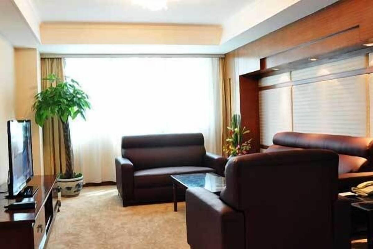 A hotel room with a large window, a sofa, a small table, and a potted plant.