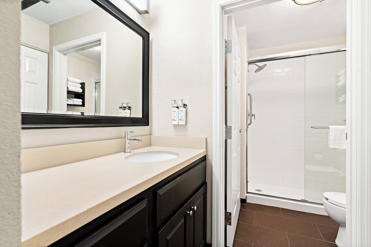 Une salle de bain avec un lavabo, un miroir et une douche.