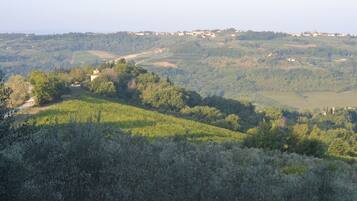 Paesaggio di un vigneto con dolci colline e edifici sparsi.