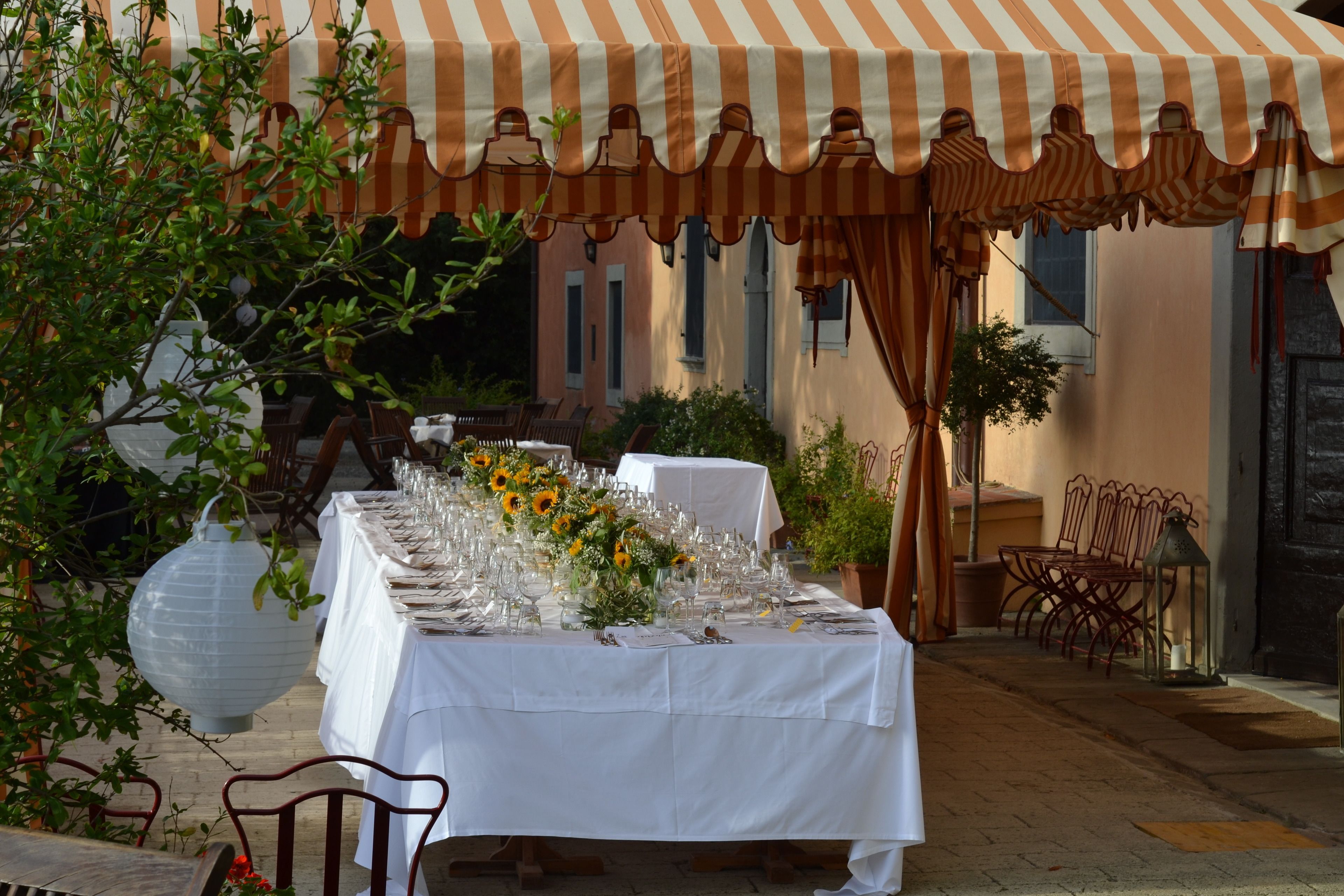 An outdoor dining area with a long table set for a meal, covered by a striped awning, surrounded by chairs and potted plants.