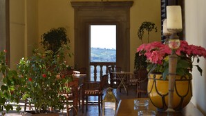 Comedor con vistas, muebles de madera y plantas en macetas.