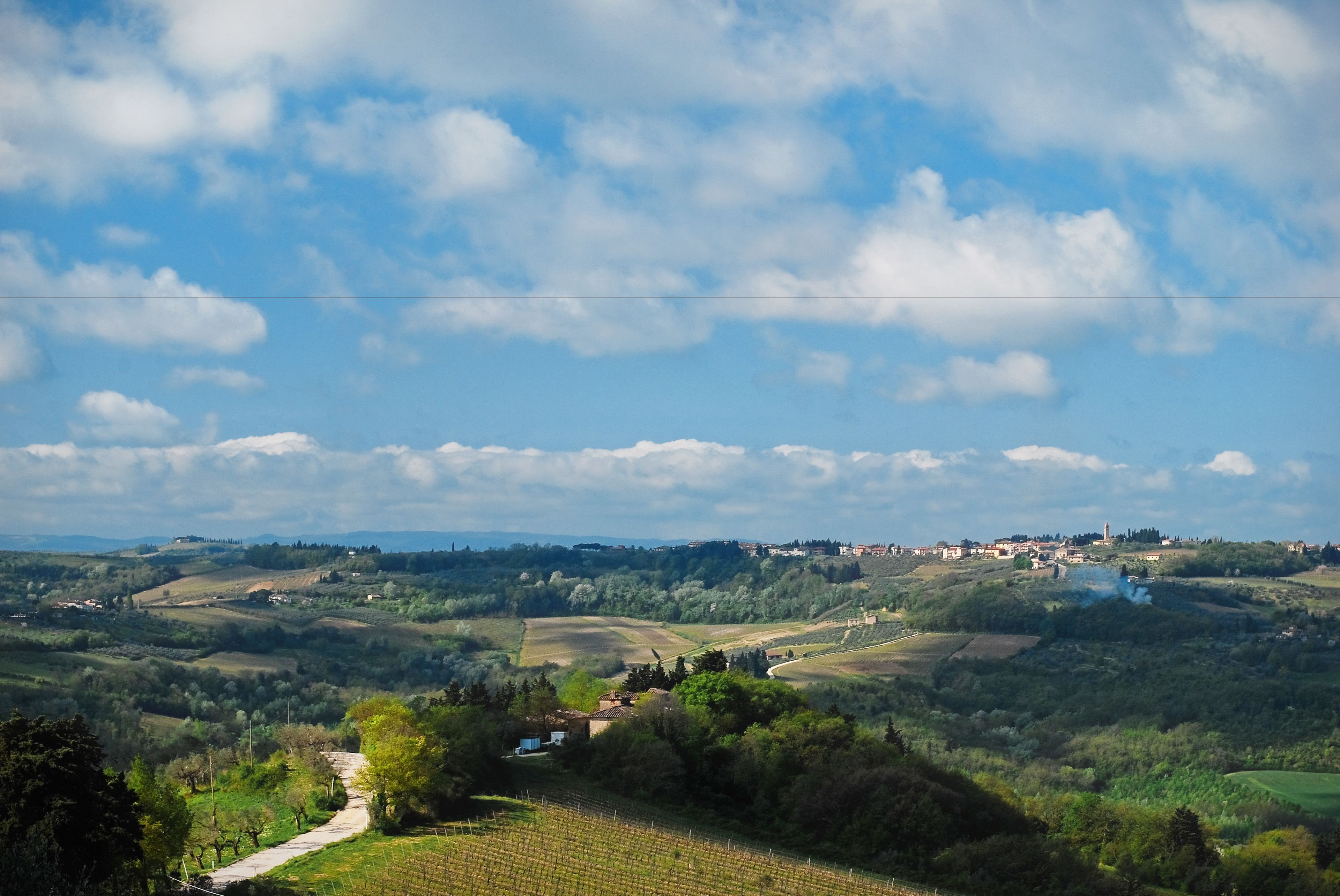 A vineyard landscape with rolling hills and a distant town.