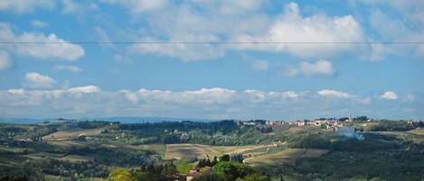 A vineyard landscape with rolling hills and a distant town.