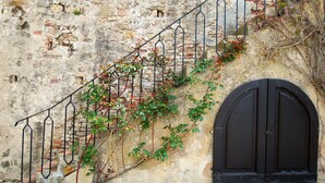 Un muro de piedra con una escalera de metal y una puerta arqueada negra.