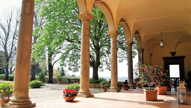 Un espacio al aire libre cubierto con columnas, plantas en macetas y vistas al mar.
