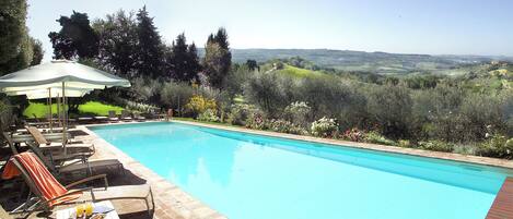 Outdoor pool, open 8:00 AM to 8:00 PM, pool umbrellas, pool loungers