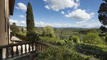 A balcony with a view of a lush landscape, including trees and distant hills.