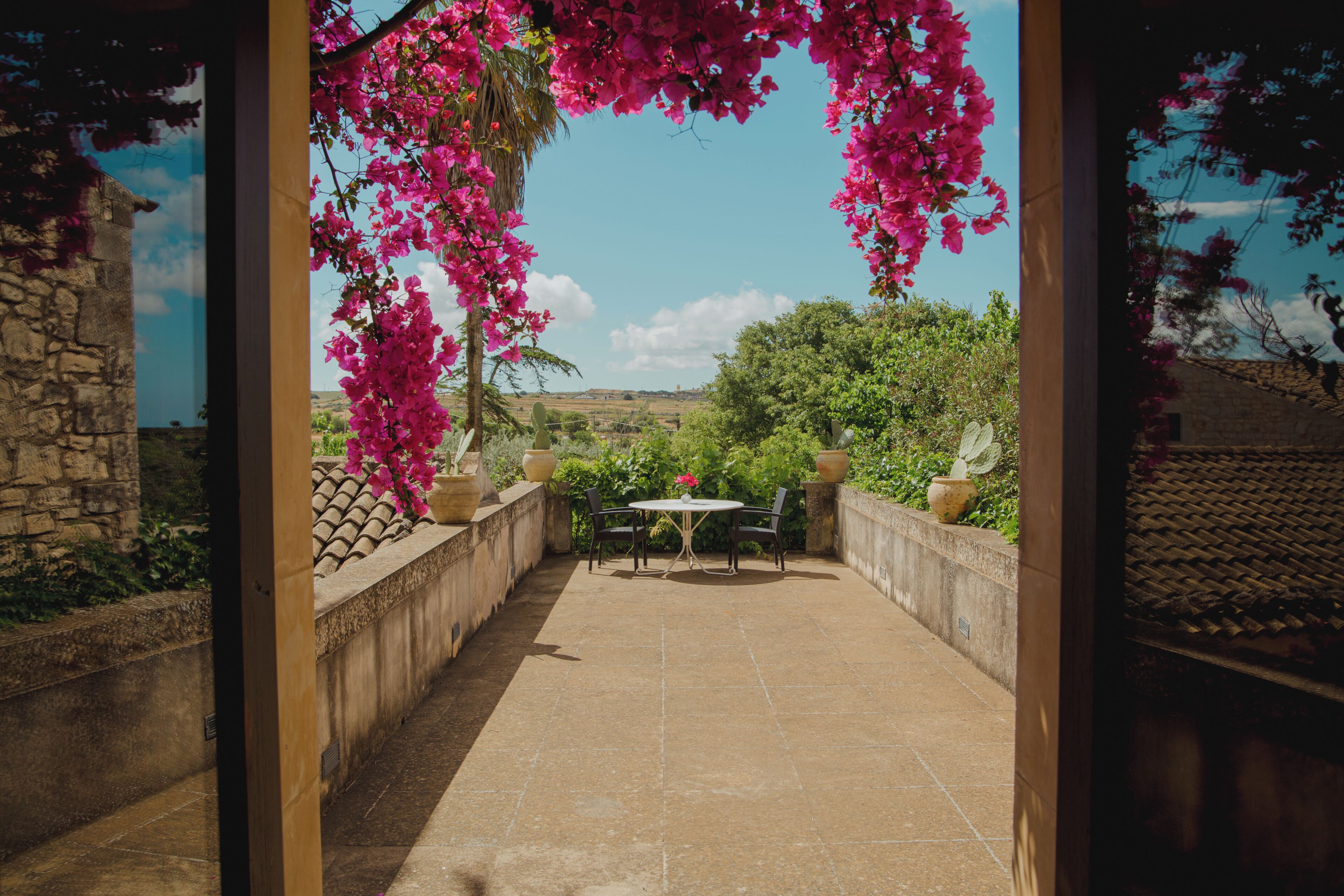 Suite | Terrasse/Patio