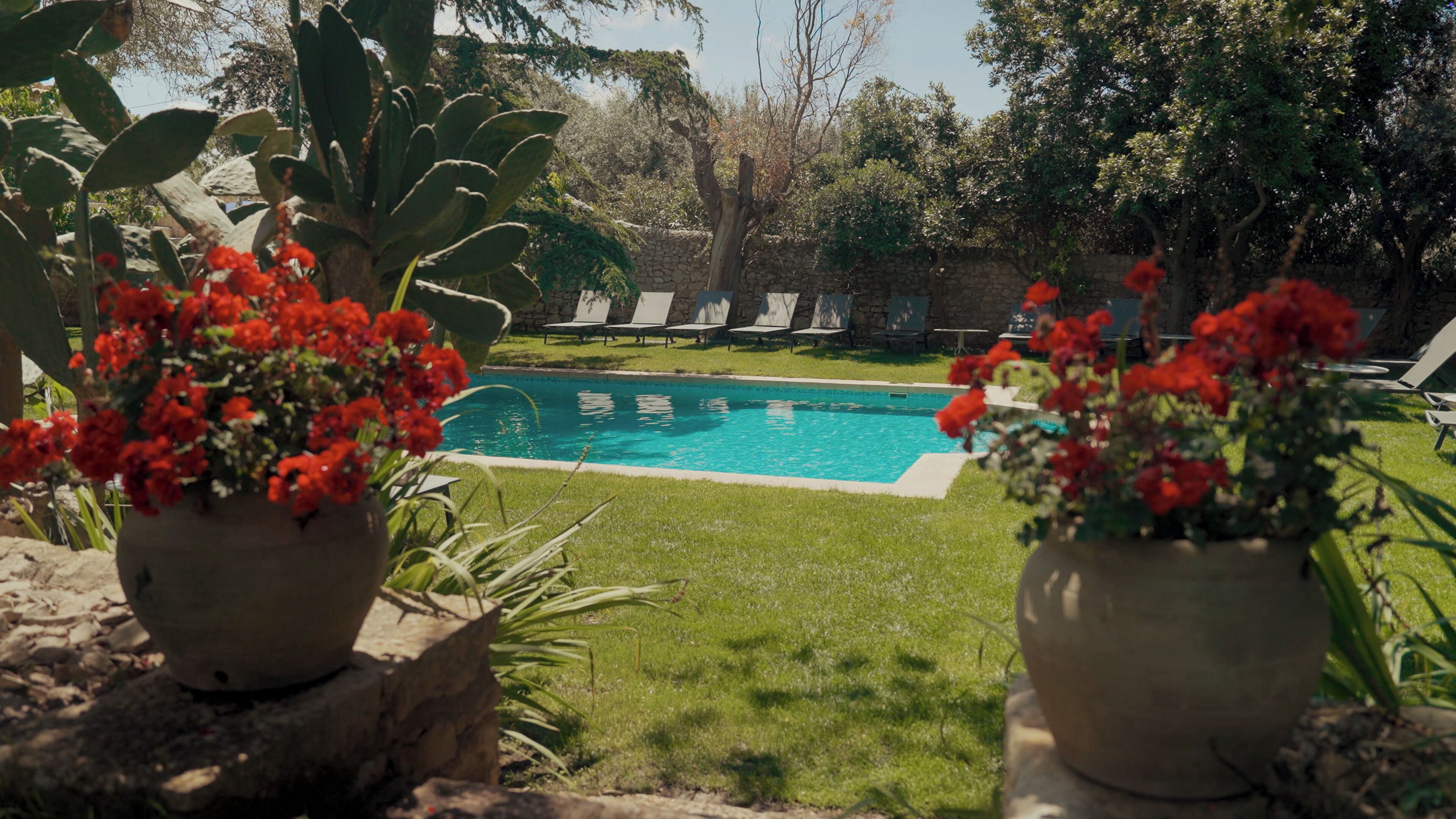 Zona de piscina con muro de piedra, sillas de descanso y flores rojas en macetas.