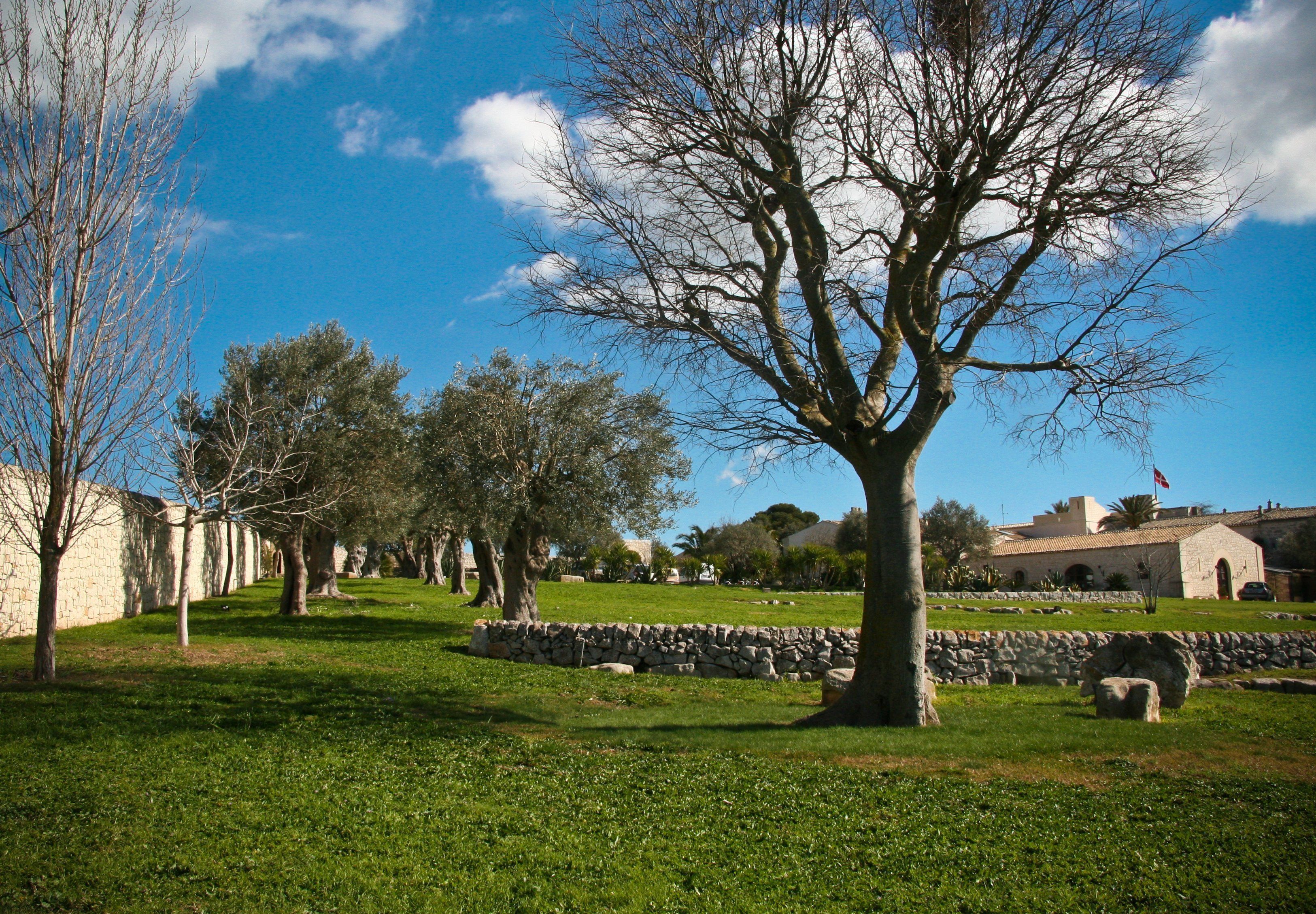 A courtyard with stone walls, a stone pathway, and trees.