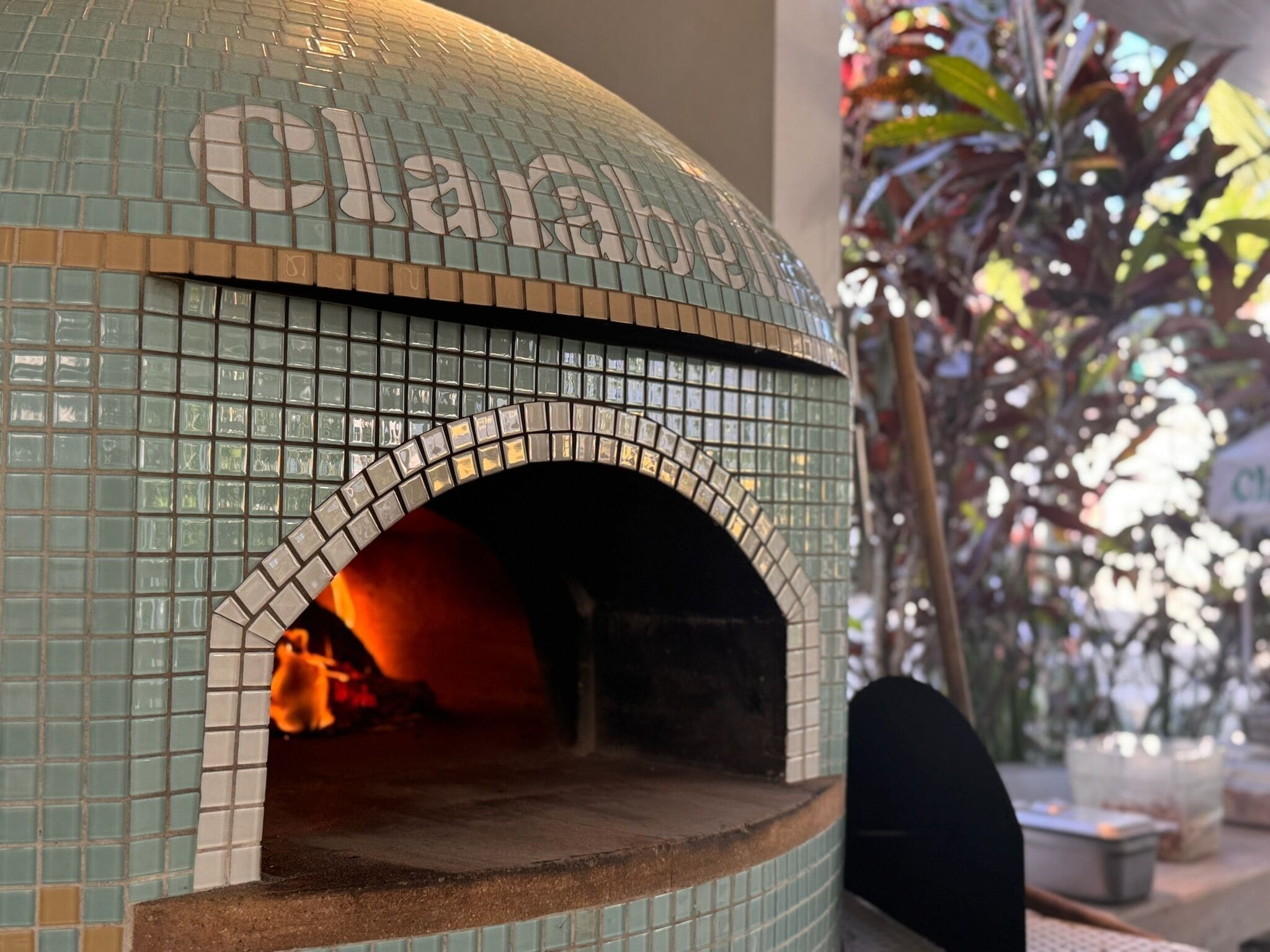 A tiled oven with a fire inside, surrounded by a tiled wall with a partial view of a plant.