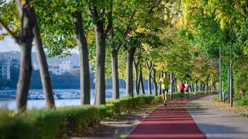 A red running path lined with trees and a body of water in the background.