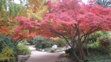 A pathway surrounded by trees with autumn foliage.