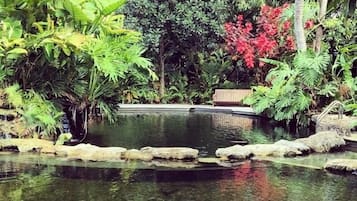 Jardín