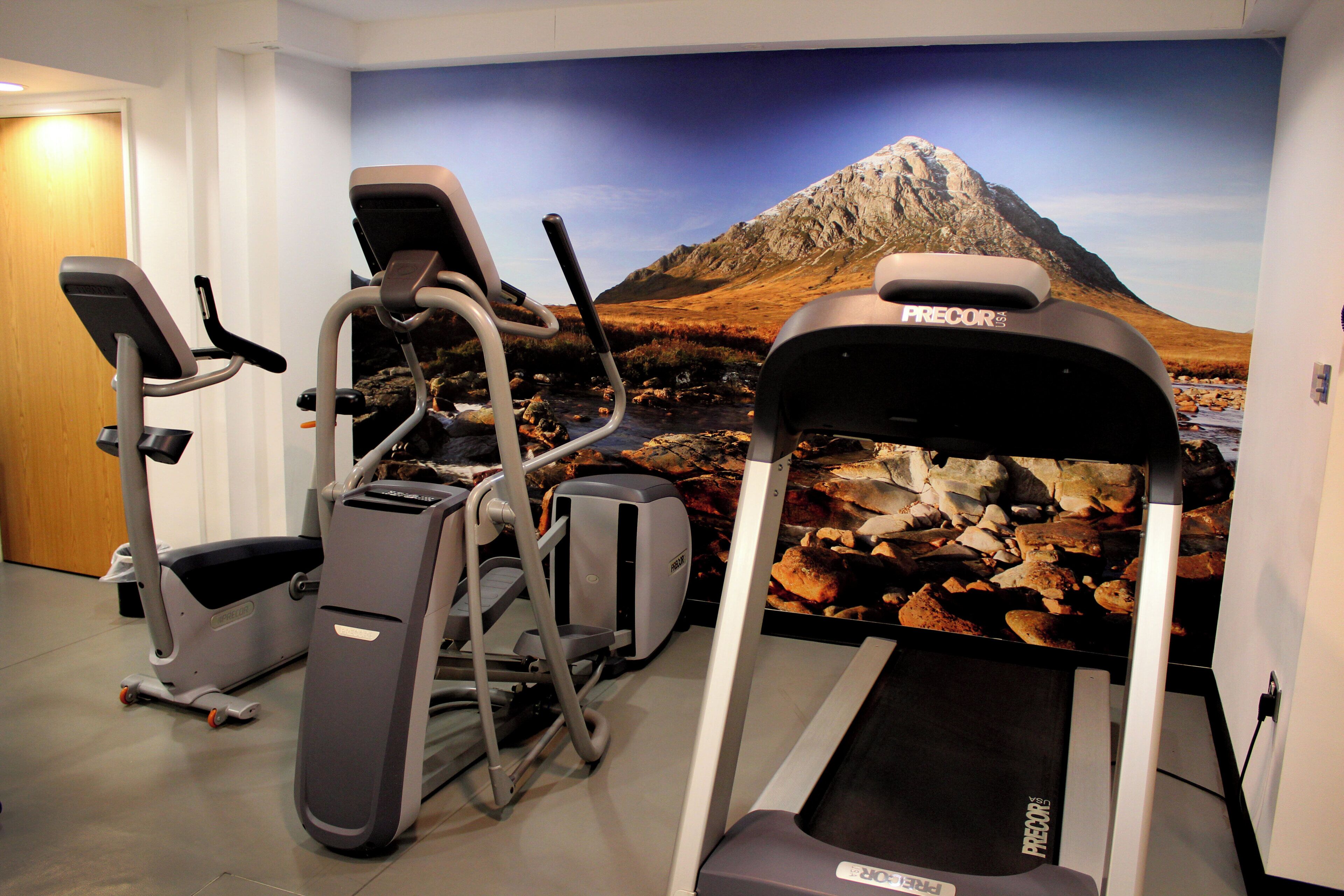 Een fitnessruimte met loopbanden, elliptische trainers en hometrainers, met een sfeervol muurschildering van een berglandschap.