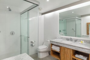 Shower, hair dryer, towels - Posada Real Ixtapa (Ixtapa)