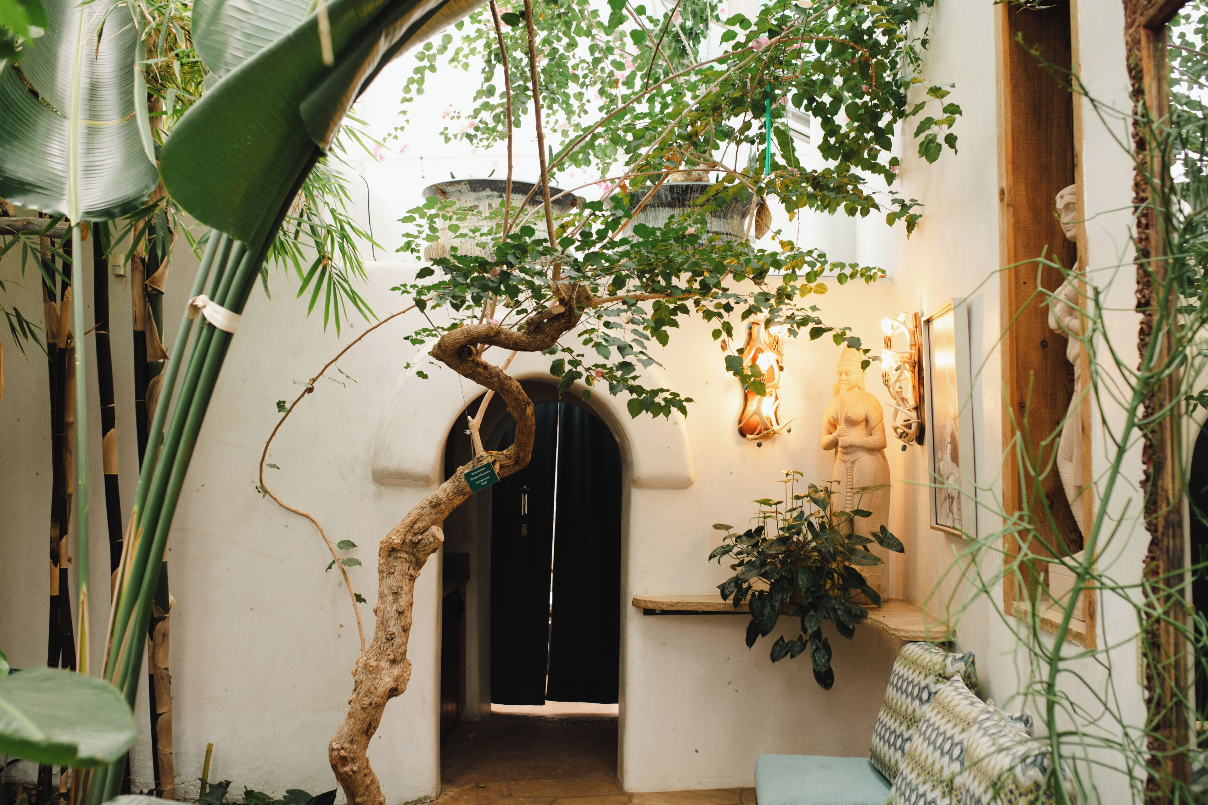 A narrow hallway with a tree, a statue, and a bench.