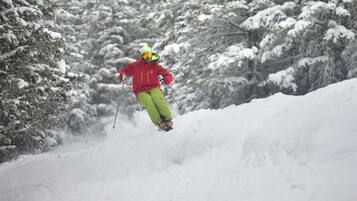 A person skiing down a snowy slope with trees in the background.