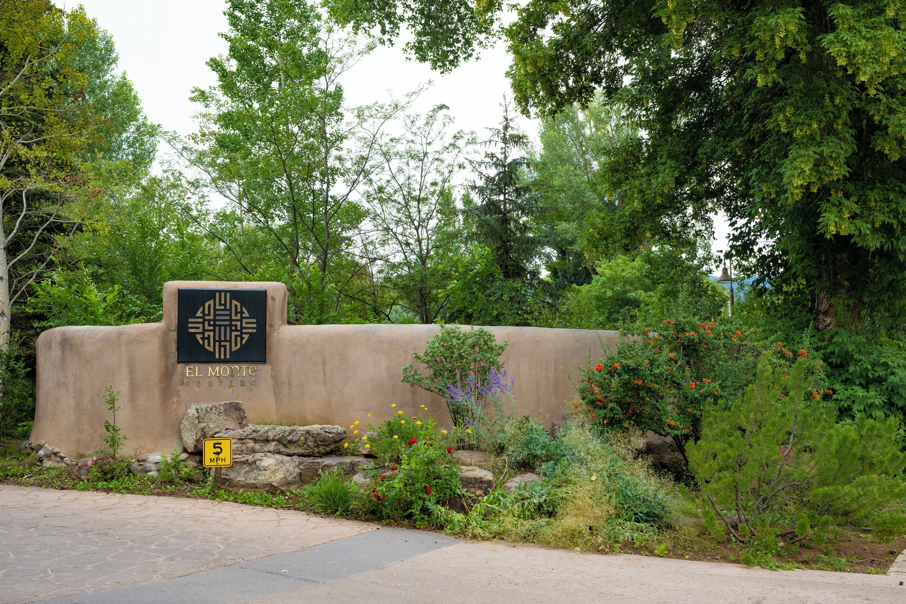 A sign with 'EL MOTE' and 'SEORADO' text, a speed limit sign, and a concrete wall with greenery.