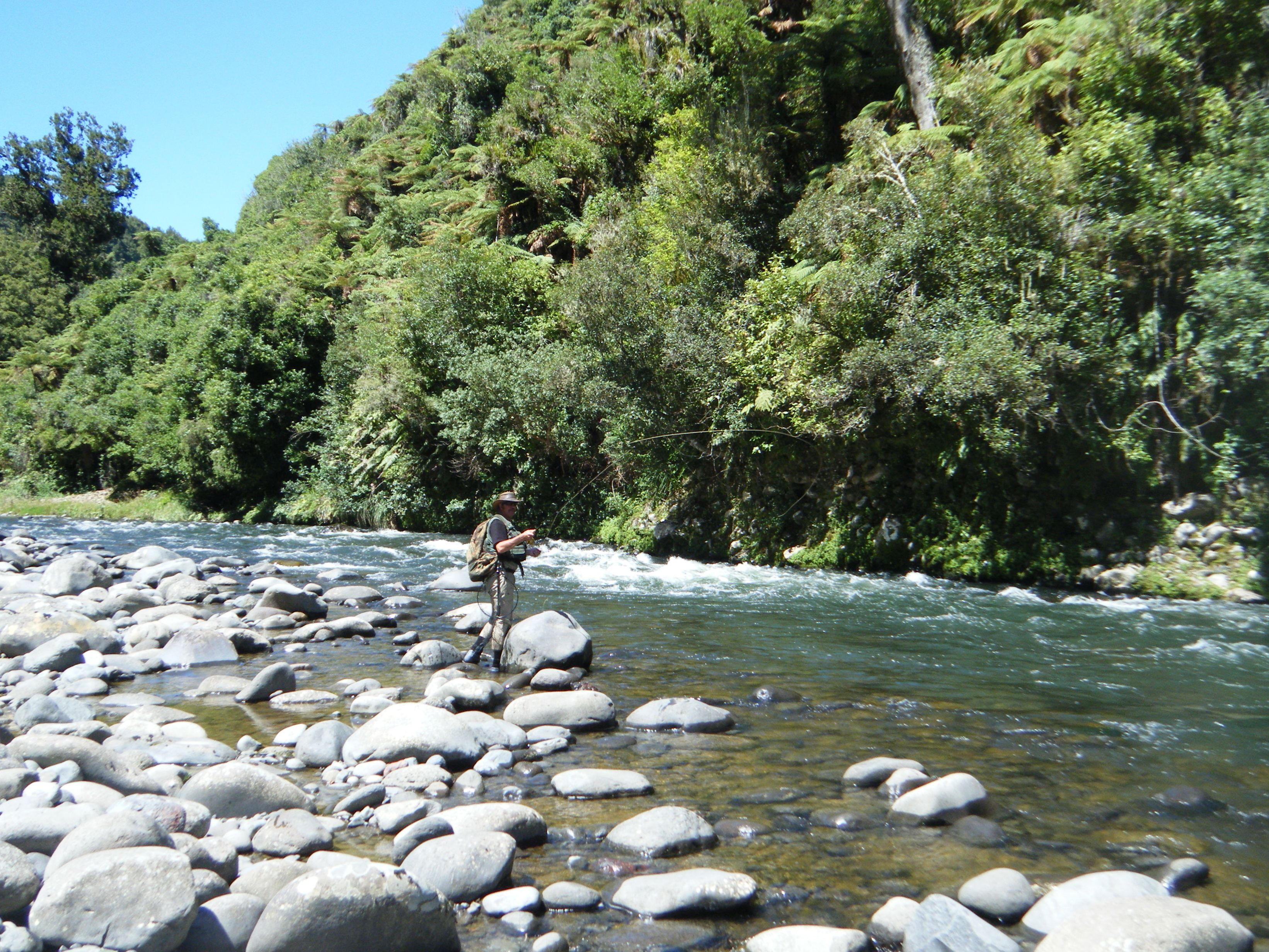 Una persona pescando en un río rodeado de rocas y abundante vegetación.