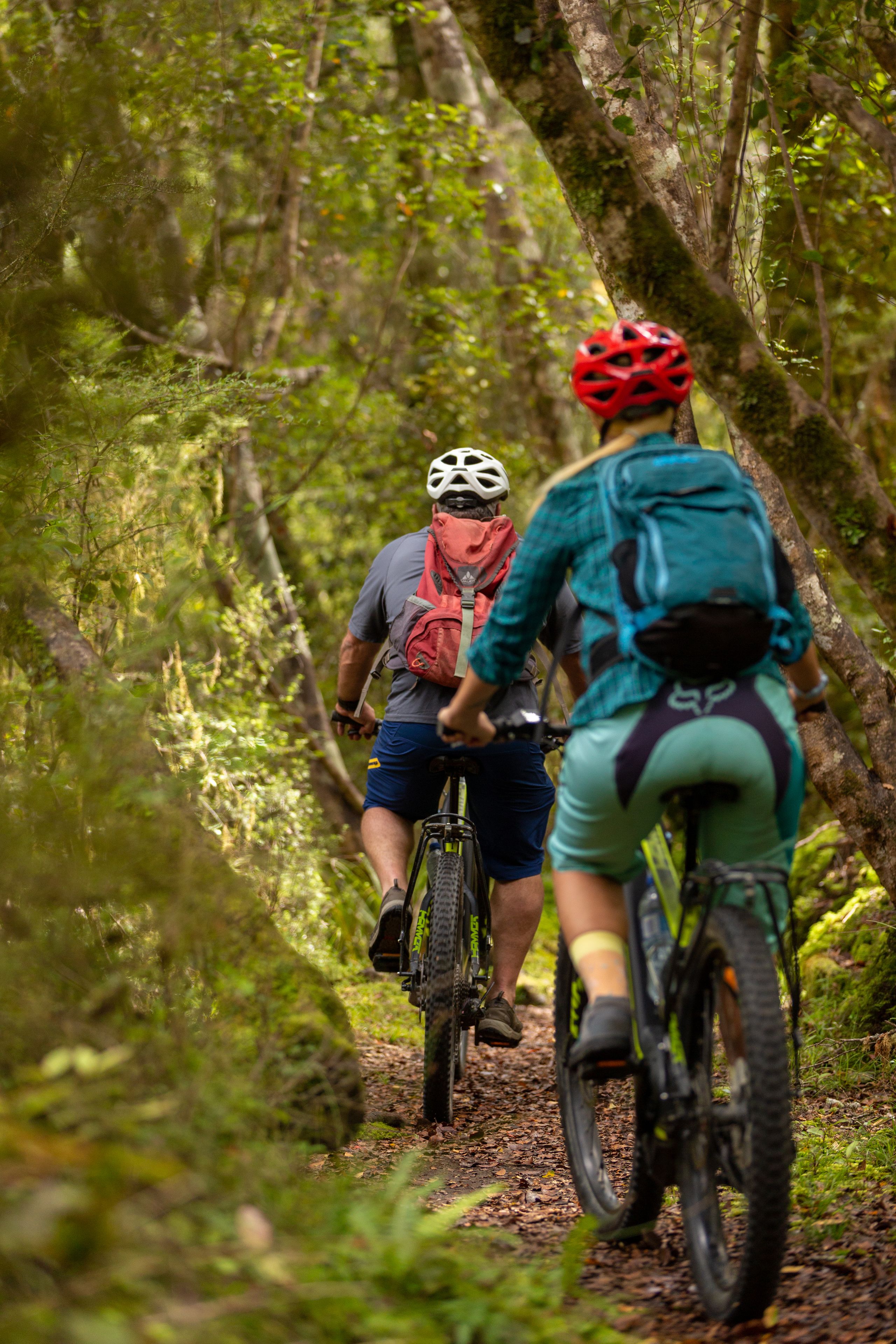 Trois cyclistes sur un sentier forestier.