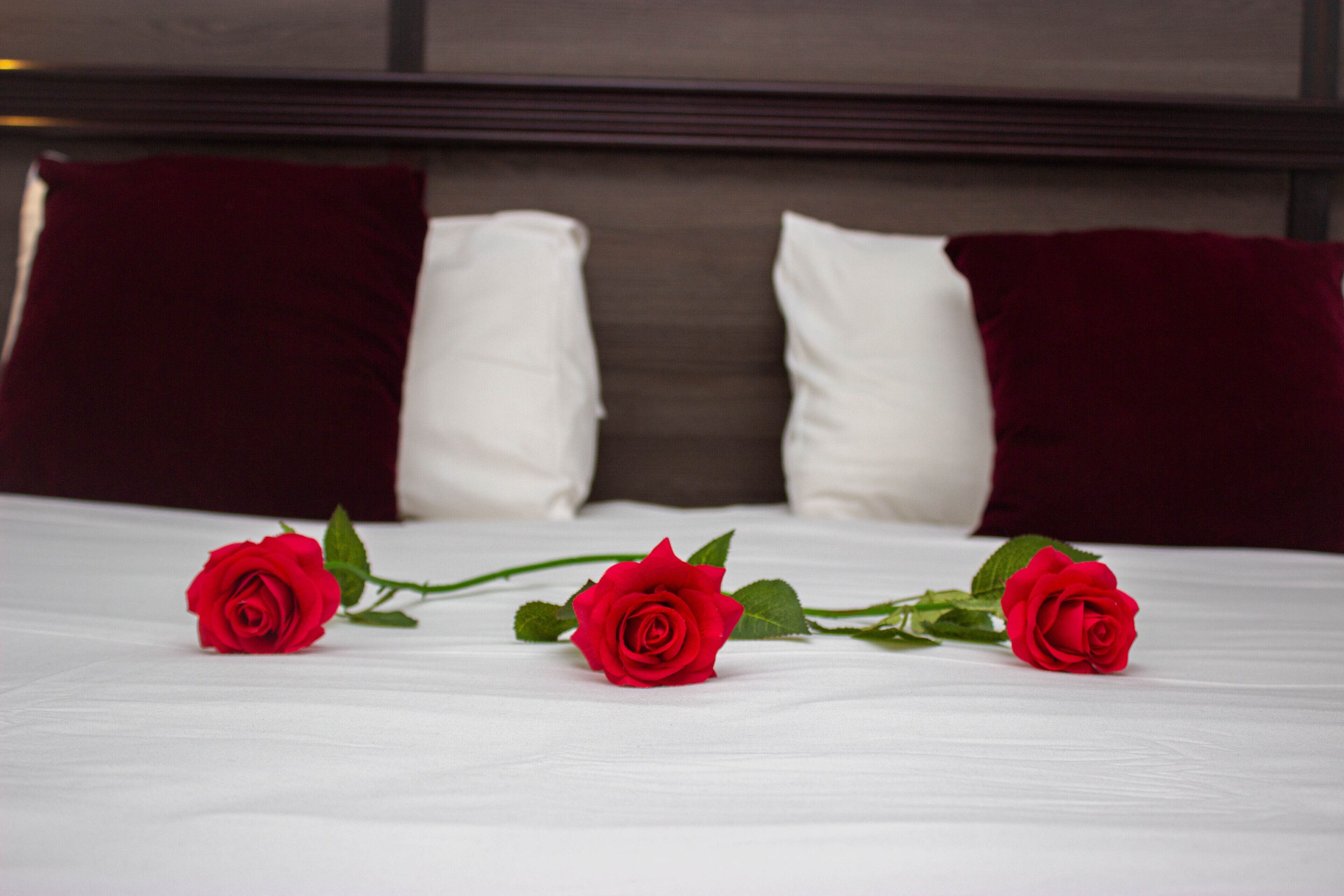 Foto - Hotel Le Paris