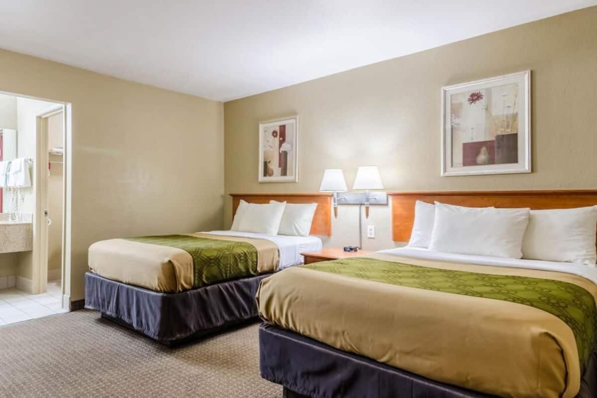 Desk, iron/ironing board, free cribs/infant beds, free WiFi