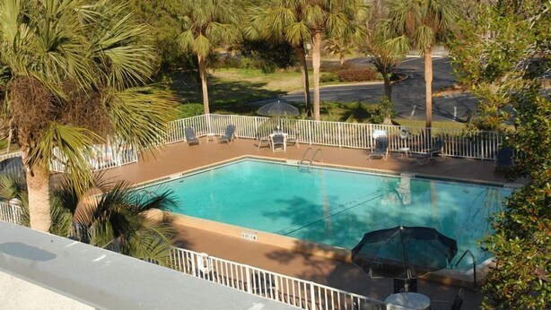 A rectangular swimming pool with a white fence and lounge chairs around it, surrounded by palm trees and other greenery.