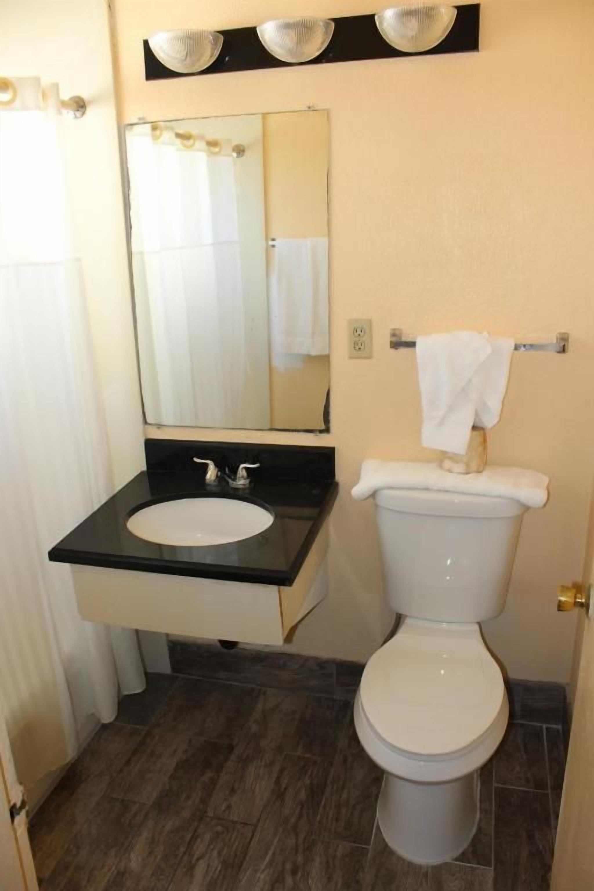 A bathroom with a toilet, sink, and mirror.