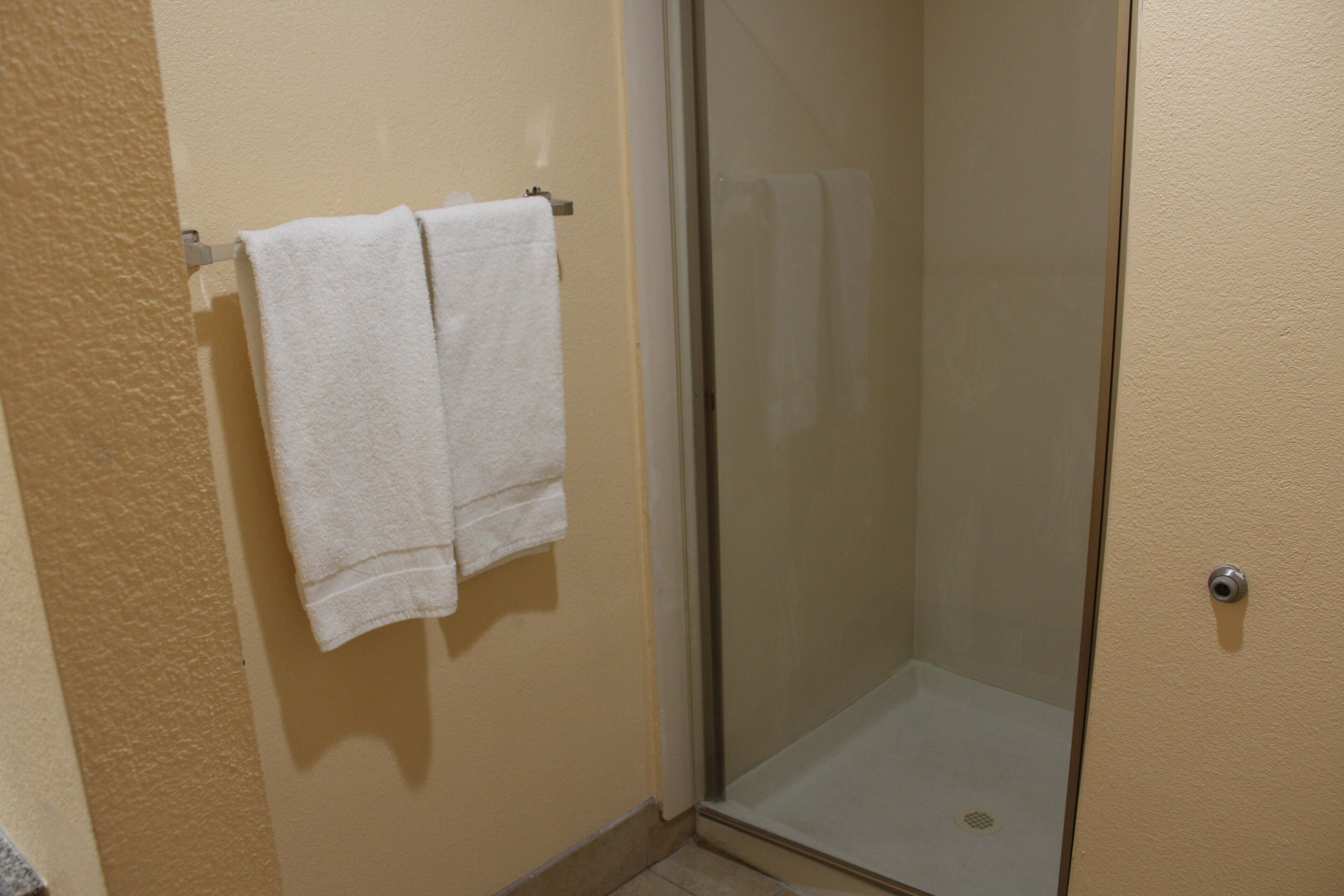 A bathroom with a glass shower enclosure and a towel rack with two white towels.
