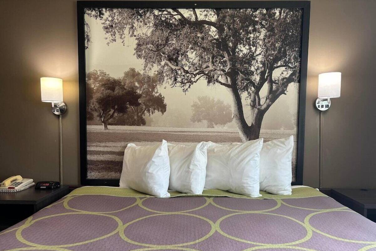 A hotel room with a large bed, two bedside lamps, a telephone, and a framed picture of a tree on the wall.