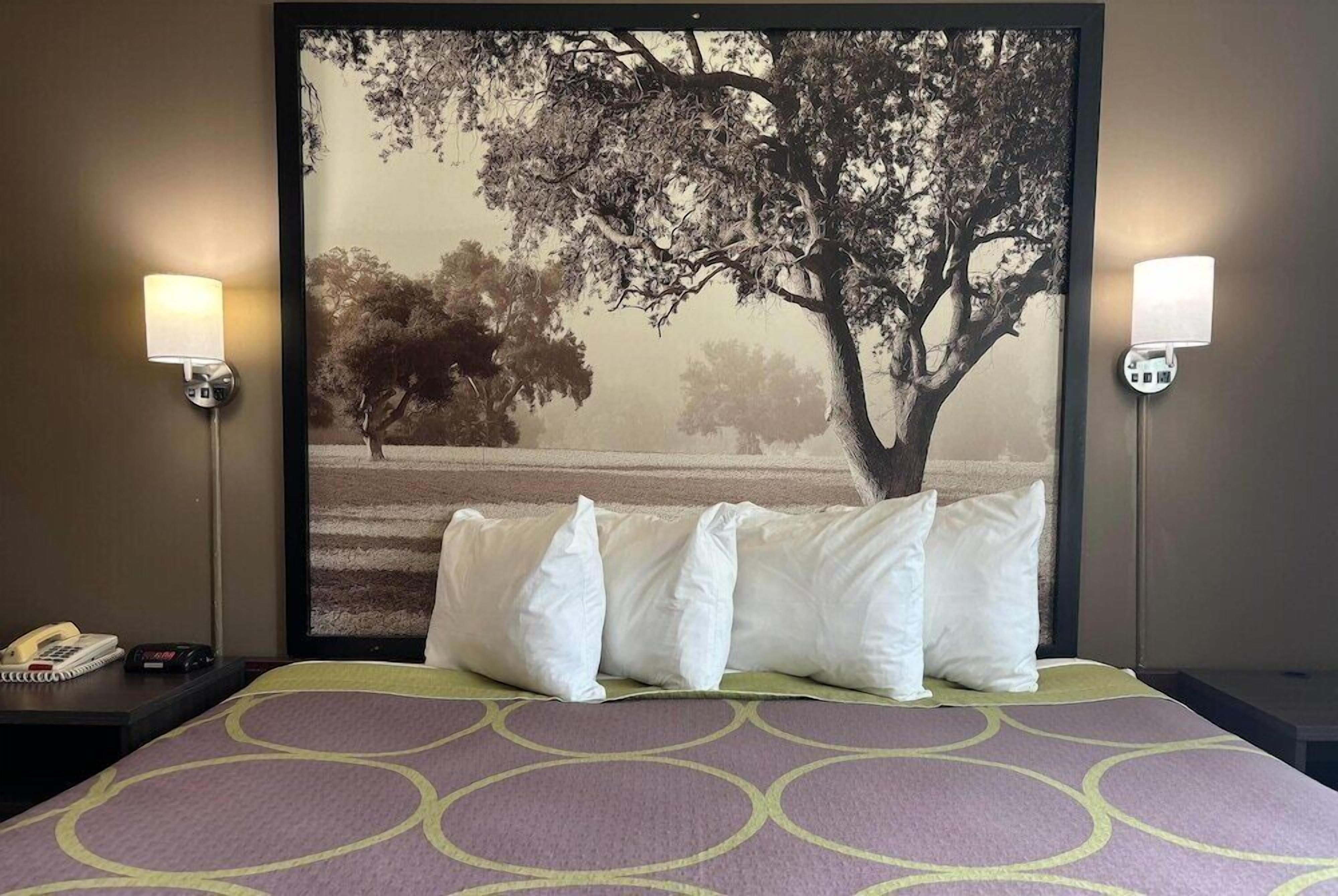 Escritorio, cortinas blackout y tabla de planchar con plancha 