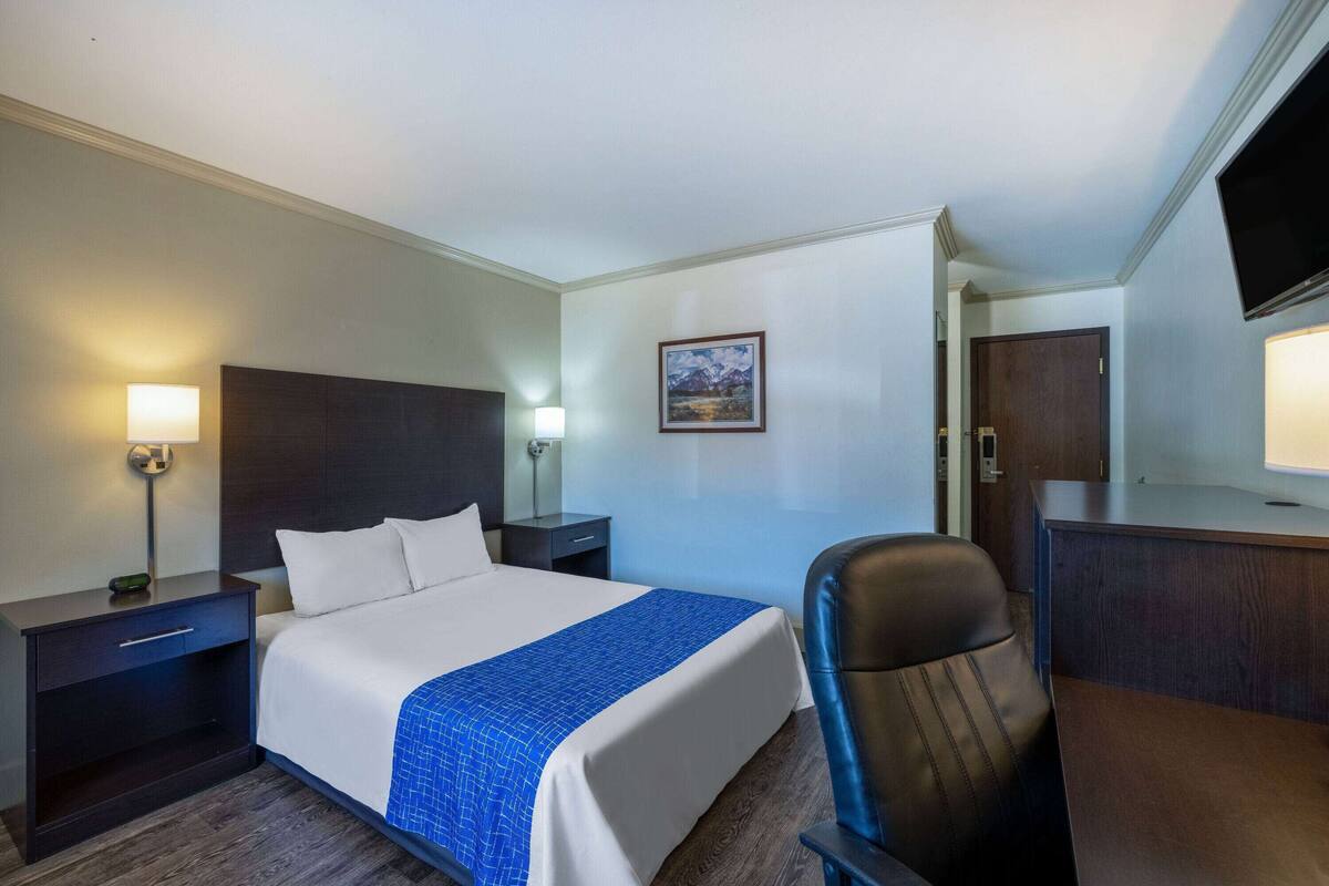 Een hotelkamer met een bed, een bureau, een stoel, een nachtkastje en een televisie.