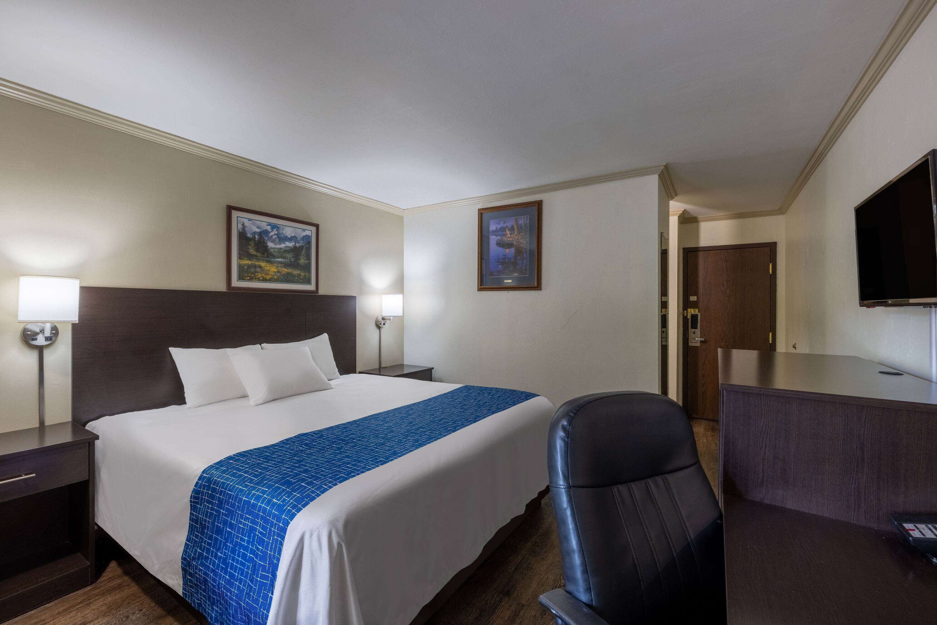 A hotel room with a bed, a desk, a chair, two lamps, and a television.