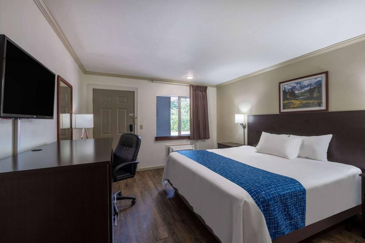 Hotelkamer met een bed, bureau, stoel, televisie, raam met gordijnen en een schilderij aan de muur.