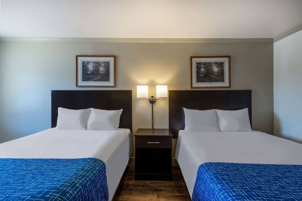 Een hotelkamer met twee bedden, een nachtkastje met een lamp en lijstjes aan de muur.
