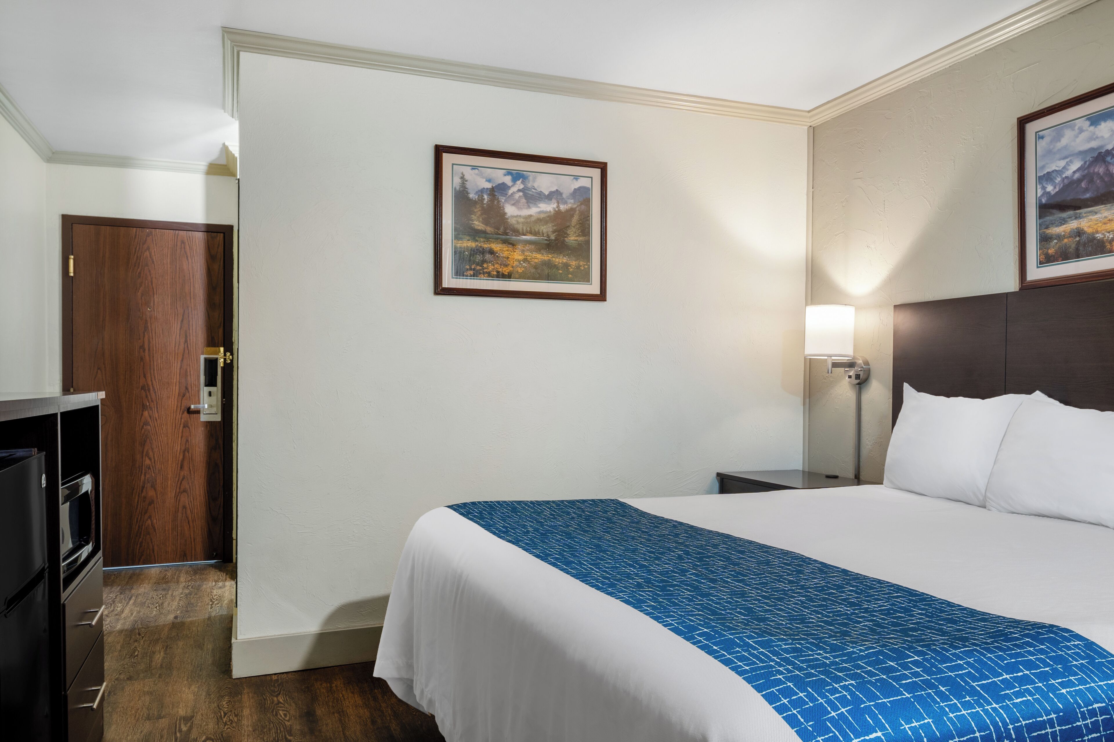A hotel room with a bed, a nightstand, a lamp, a painting on the wall, and a wooden door.