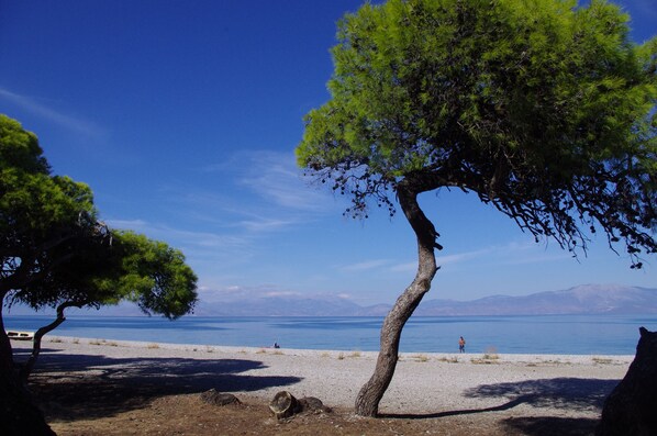 Payung, yoga pantai 