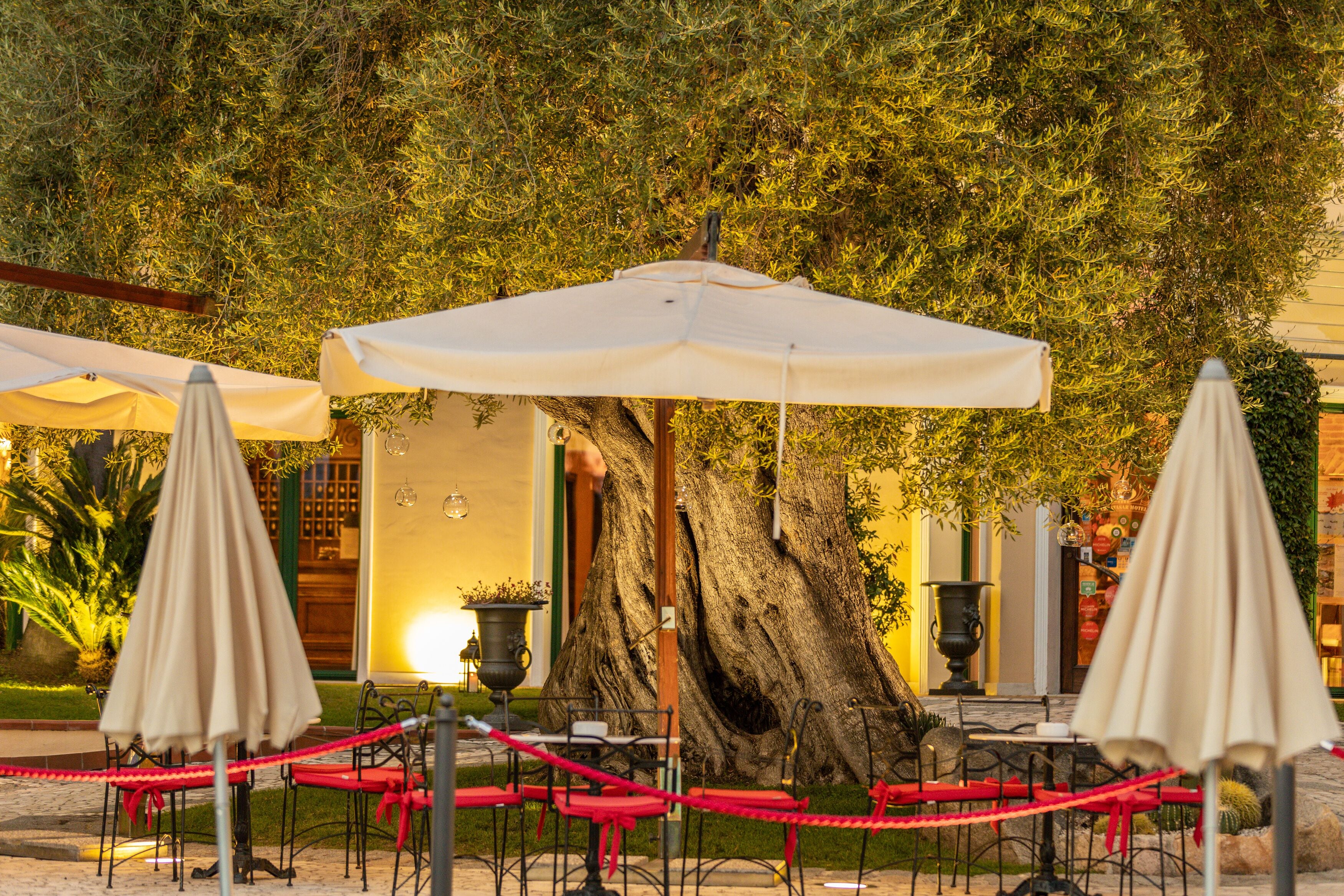 Foto - Hotel Arbatasar