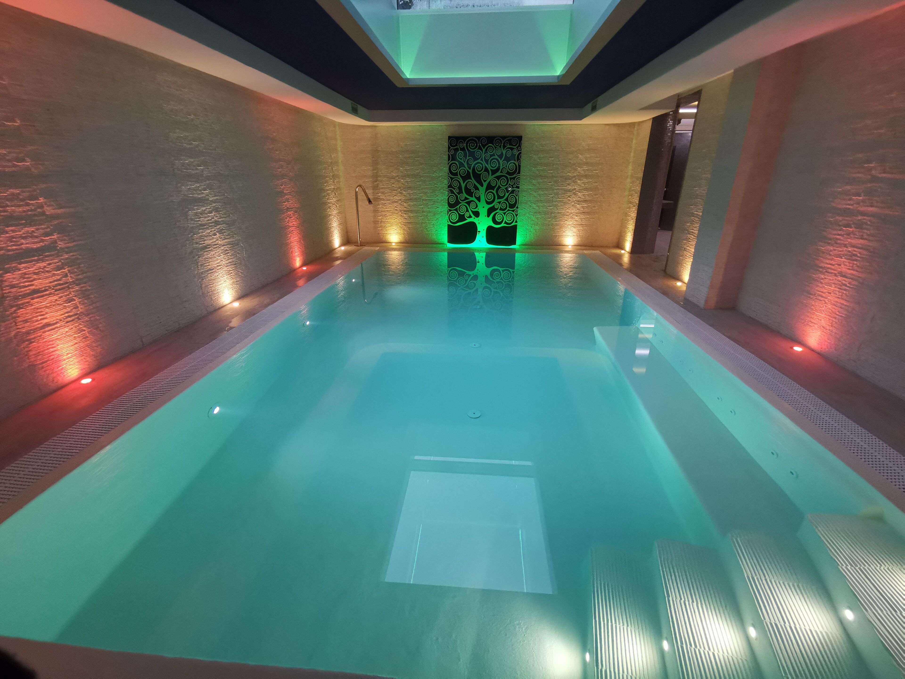 Une piscine intérieure dotée d’un élément décoratif central et d’un mur orné de motifs.