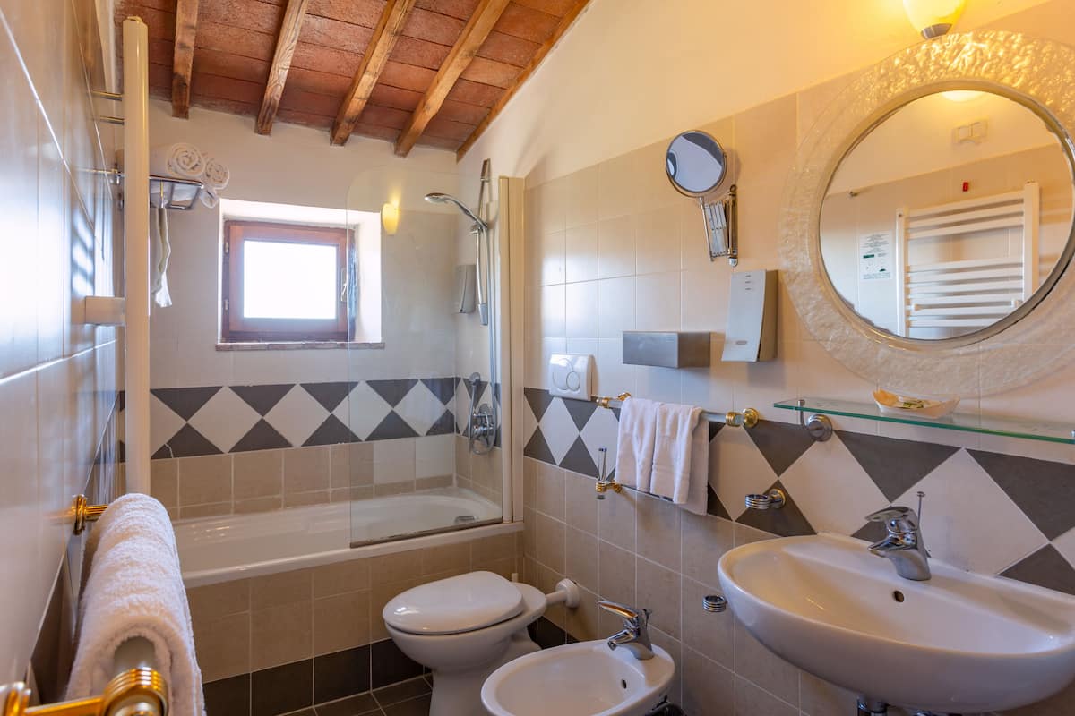 combined shower/bathtub, free toiletries, hair dryer, bidet