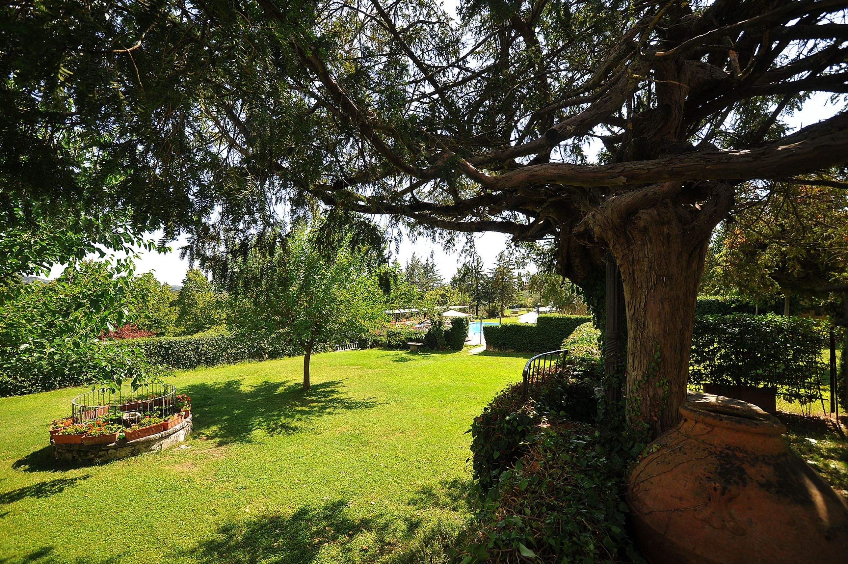 A large tree in a well-maintained garden with a circular flower bed and a water feature in the background.